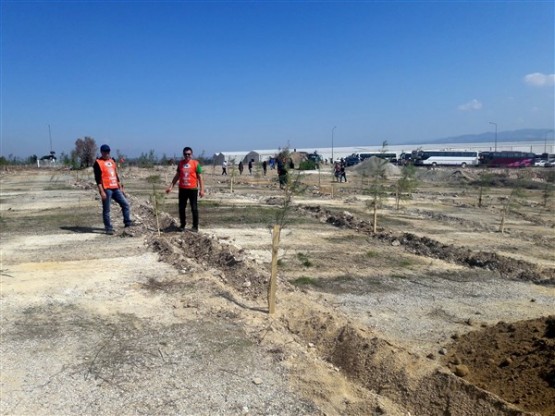 Uşak TEMA Vakfı, Uşak'ı ağaçlandırmaya devam ediyor!