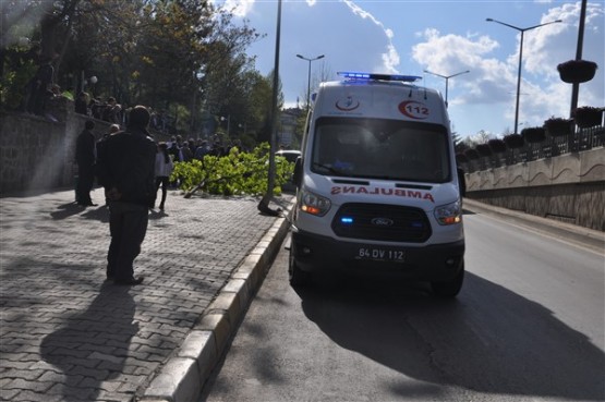 Aniden Dönüş Yapan Otomobil Sürücüsü Önce Ağacı Devirdi Sonra da Takla Attı! 1 Yaralı!