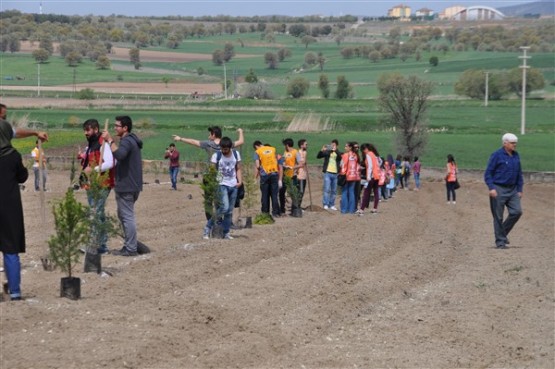 Yeşil Bir Uşak İçin TEMA Gönüllüleri Fidan Dikti!