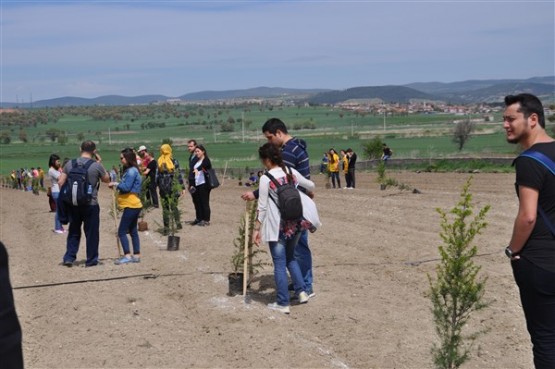 Yeşil Bir Uşak İçin TEMA Gönüllüleri Fidan Dikti!