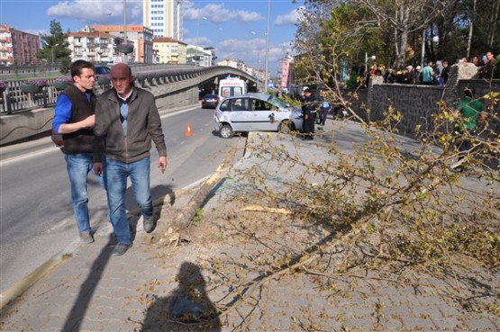 Aniden Dönüş Yapan Otomobil Sürücüsü Önce Ağacı Devirdi Sonra da Takla Attı! 1 Yaralı!