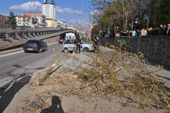 Aniden Dönüş Yapan Otomobil Sürücüsü Önce Ağacı Devirdi Sonra da Takla Attı! 1 Yaralı!