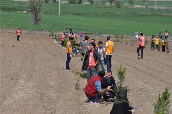 Yeşil Bir Uşak İçin TEMA Gönüllüleri Fidan Dikti!