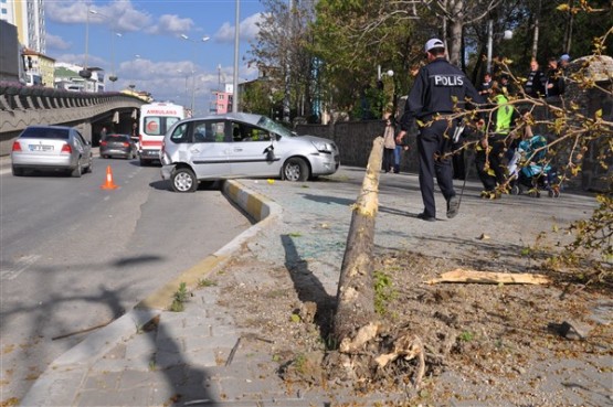 Aniden Dönüş Yapan Otomobil Sürücüsü Önce Ağacı Devirdi Sonra da Takla Attı! 1 Yaralı!