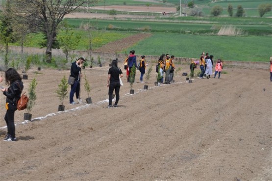 Yeşil Bir Uşak İçin TEMA Gönüllüleri Fidan Dikti!