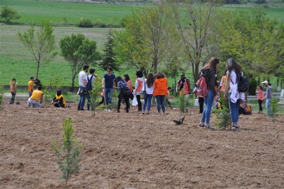 Yeşil Bir Uşak İçin TEMA Gönüllüleri Fidan Dikti!