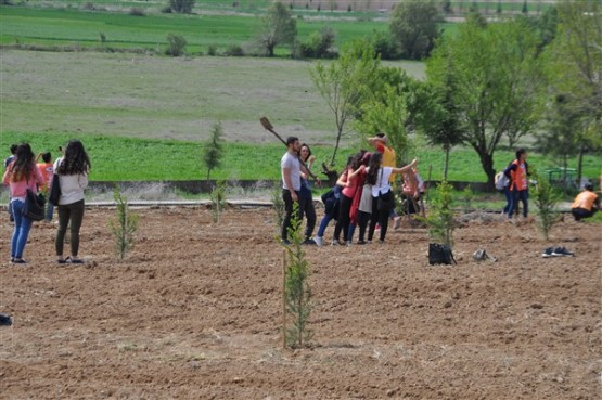 Yeşil Bir Uşak İçin TEMA Gönüllüleri Fidan Dikti!