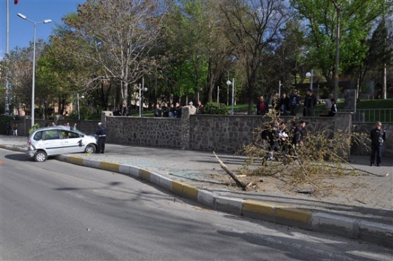 Aniden Dönüş Yapan Otomobil Sürücüsü Önce Ağacı Devirdi Sonra da Takla Attı! 1 Yaralı!