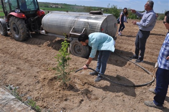 Yeşil Bir Uşak İçin TEMA Gönüllüleri Fidan Dikti!