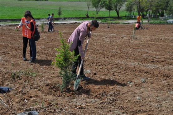 Yeşil Bir Uşak İçin TEMA Gönüllüleri Fidan Dikti!