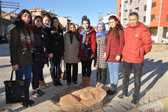 Uşaklı Çevrecilereden sert tepki; bu ağacı kesenlerin de, kesilmesine karar verenlerin de elleri kurusun!