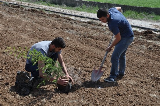 Yeşil Bir Uşak İçin TEMA Gönüllüleri Fidan Dikti!