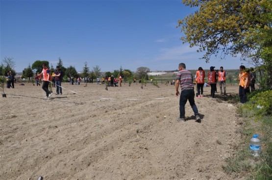 Yeşil Bir Uşak İçin TEMA Gönüllüleri Fidan Dikti!