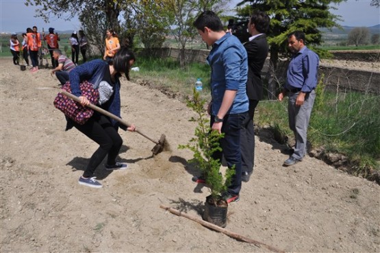 Yeşil Bir Uşak İçin TEMA Gönüllüleri Fidan Dikti!