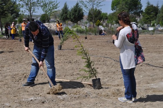 Yeşil Bir Uşak İçin TEMA Gönüllüleri Fidan Dikti!