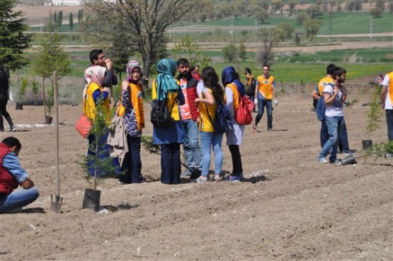 Yeşil Bir Uşak İçin TEMA Gönüllüleri Fidan Dikti!