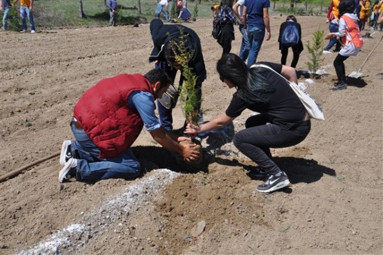 Yeşil Bir Uşak İçin TEMA Gönüllüleri Fidan Dikti!