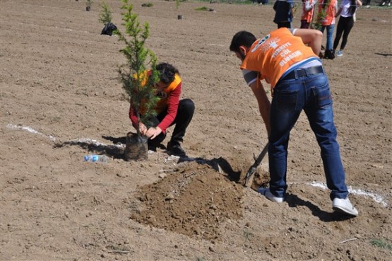 Yeşil Bir Uşak İçin TEMA Gönüllüleri Fidan Dikti!