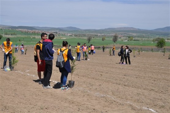 Yeşil Bir Uşak İçin TEMA Gönüllüleri Fidan Dikti!