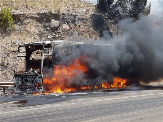 Anadolu Ulaşım'a ait yolcu otobüsünde çıkan yangın ormana da sıçradı!