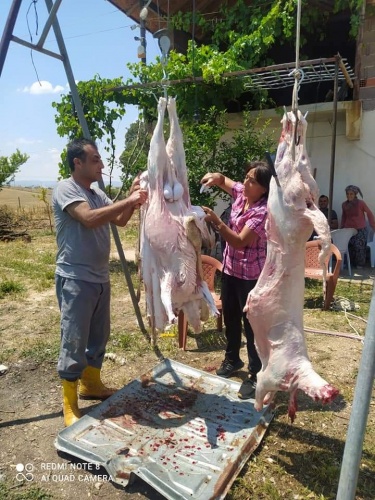 Kurbanlık fiyatları bu sene bir başka el yakıyor peki neden?