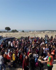 Uşak TEMA Vakfı, Uşak'ı ağaçlandırmaya devam ediyor!