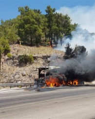 Anadolu Ulaşım'a ait yolcu otobüsünde çıkan yangın ormana da sıçradı!