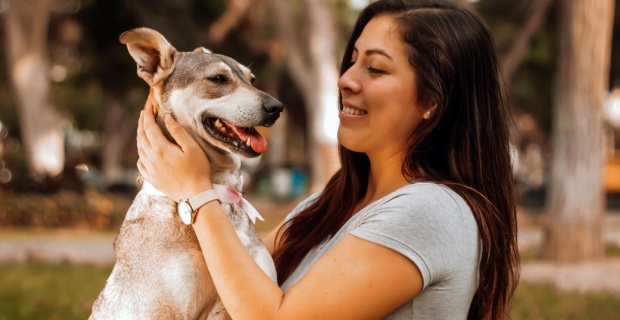 Köpeklerin Bakımları Nasıl Yapılmalı