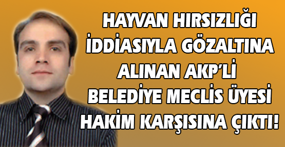 AKP'li Belediye Meclis Üyesi, Hayvan Hırsızlığı İddiasıyla Gözaltına Alındı!