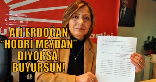 Dilek Yılmaz, Ali Erdoğan'ın Restine Restle Cevap Verdi!