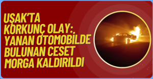 Yol Kenarında Alevler İçinde Kalan Otomobilden Feci Görüntü